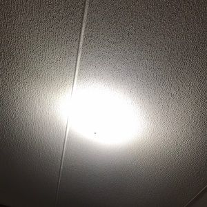 Meet your Posher, Fred